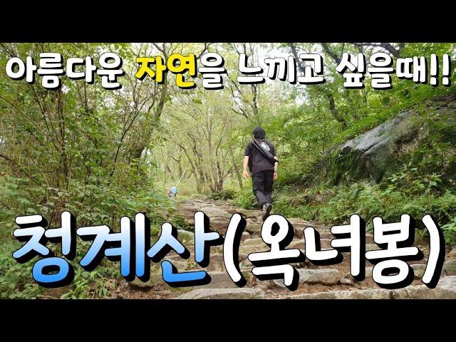 [백수세끼][15탄]등산 청계산 / 376m 옥녀봉 정복 / 죽음의 계단 / 먹방 / 바나나