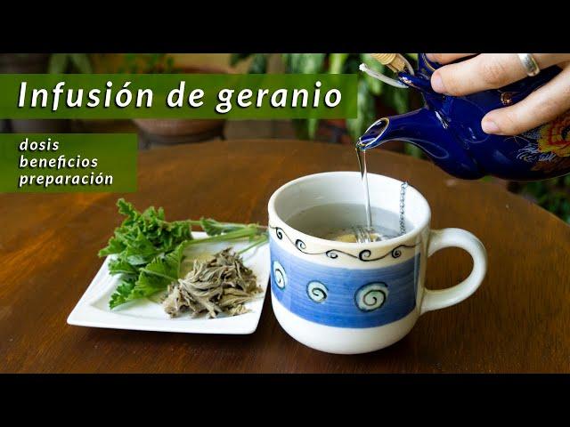 Cómo preparar infusión de Geranio | beneficios y precauciones |un té con Daniela