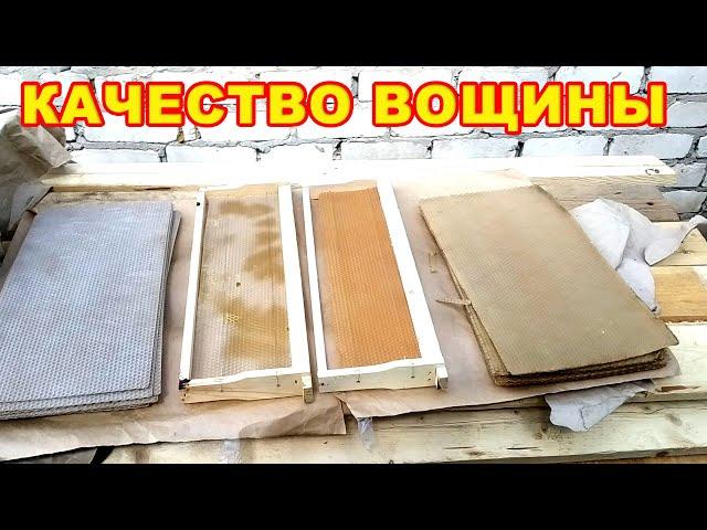 Качество вощины в Луганске и ЛНР.  Магазин Пчеловодство, Стаханов, Вощина Луганск.