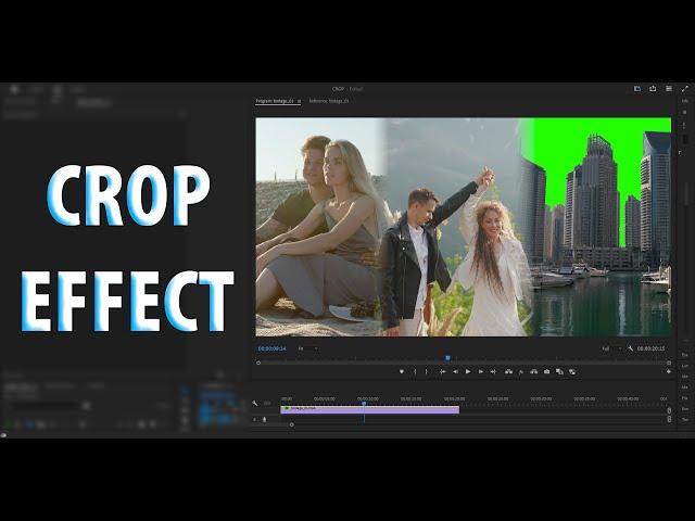 21 - Crop Effect | Premiere Pro | Tech Nestology