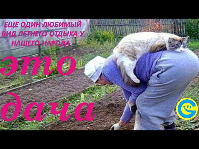 Смешное прикольное видео # 12  Дачный сезон открыт!!!