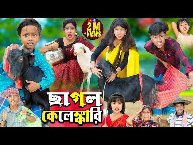 ছাগল কেলেঙ্কারি | Chagol Kelankari || No 1 Gramin TV Latest Bangla Funny  natok 2024 indian |