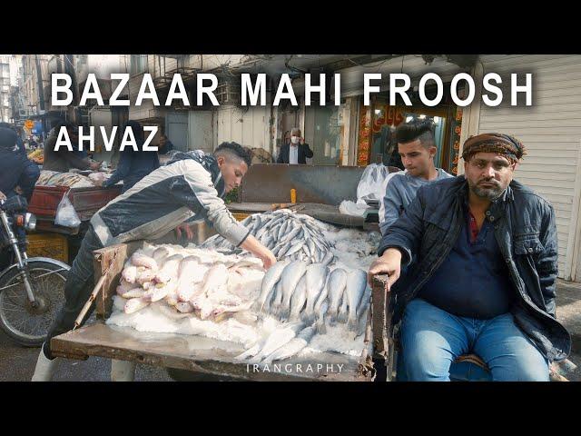 AHVAZ - BAZAAR MAHI FROOSHHA - اهواز - بازار ماهی فروش ها