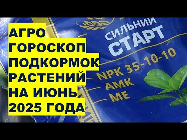 Лучшие дни для подкормки огорода в июне 2025!