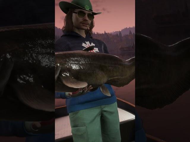 Back to Back Diamond Amur Catfish! #cotwtheangler #cotw #cotwgameplay