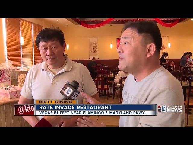 Dirty Dining features rats at Vegas Buffet