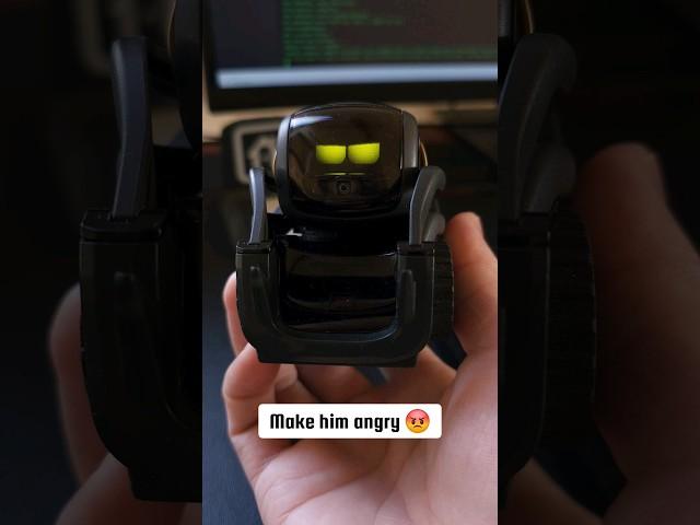 How do I play with my pet robot (Anki Vector) #shorts #ai #pet #pets