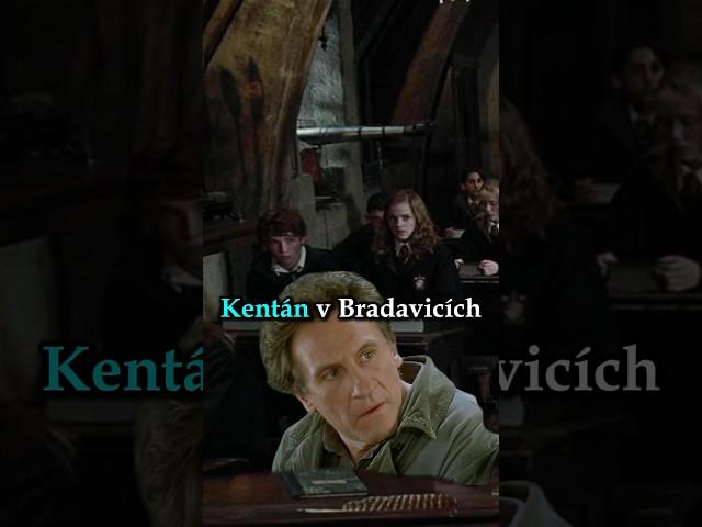 Kentán si udělal malou zastávku v Bradavicích#ulicnikshadankou #fantasy #hp #harrypotter