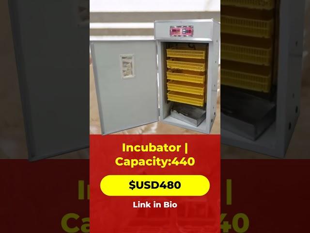 Efficient 440-Egg Incubator for Large-Scale Hatching