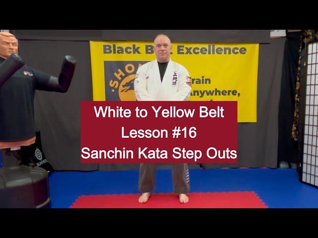 White to Yellow Belt Lesson 16 - Sanchin Kata Step Outs