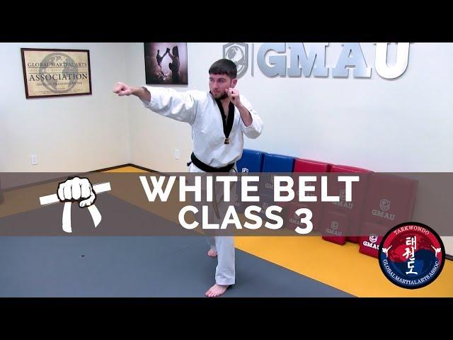 Taekwondo Follow Along Class - White Belt - Class #3