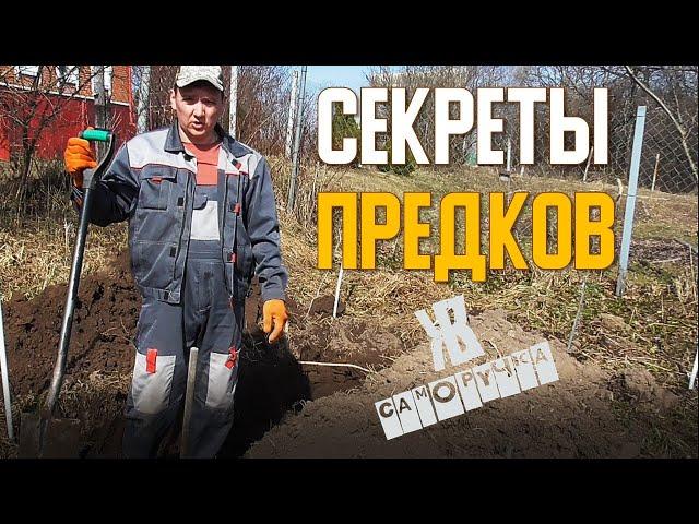 ОТЛИЧНЫЙ УРОЖАЙ БЕЗ УДОБРЕНИЙ | ОРГАНИЧЕСКОЕ ЗЕМЛЕДЕЛИЕ ДВА ПРОСТЫХ МЕТОДА. ЖКВ Саморучка.