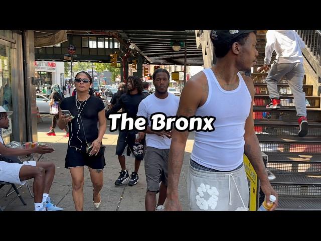 Fordham Bronx New York City Summer Walking Tour