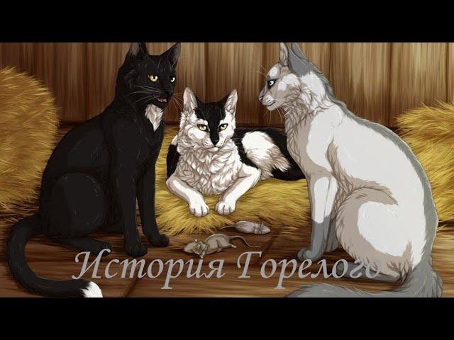 История Горелого/Коты-воители