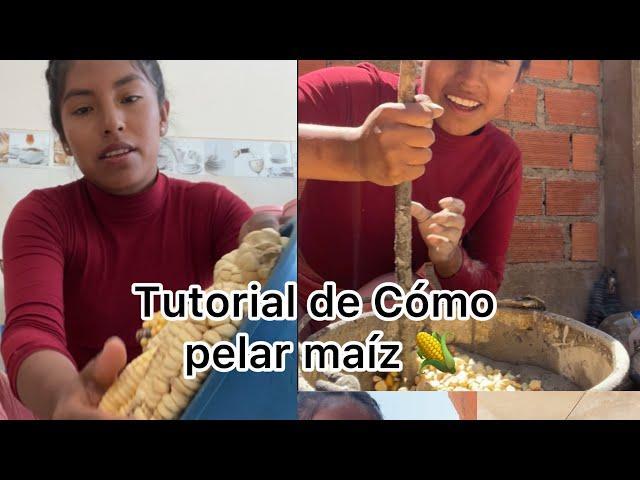 Tutorial de cómo pelar maíz  🫢