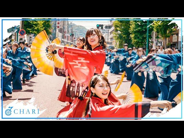 【4K】Waseda University's Tokyo Hanabi ／ Haikara（Shonan Yosakoi Festival 2018）【早稲田大学東京花火】