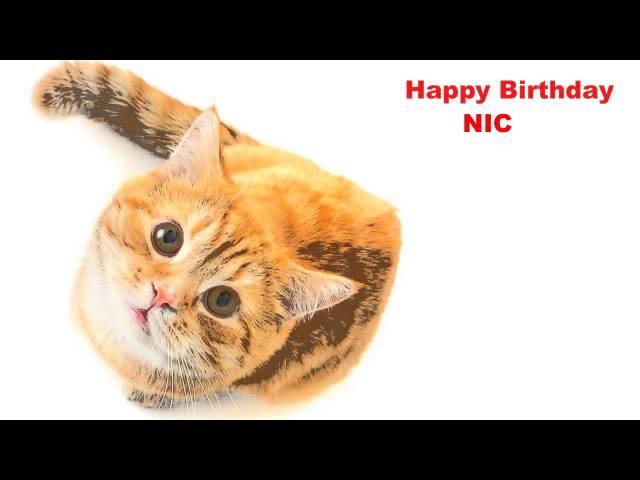 Nic  Cats Gatos - Happy Birthday