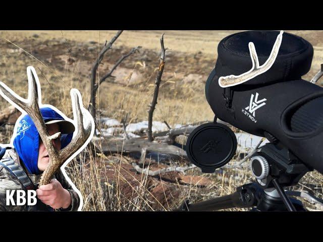 2025 First Utah Shed Antlers! | Shed Hunting Public & Private Land