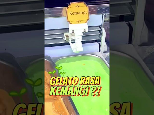 Kuliner Jogja Paling Aneh di Tugu Jogja Wajib Kamu Coba #malioboro #gelato #mukbang