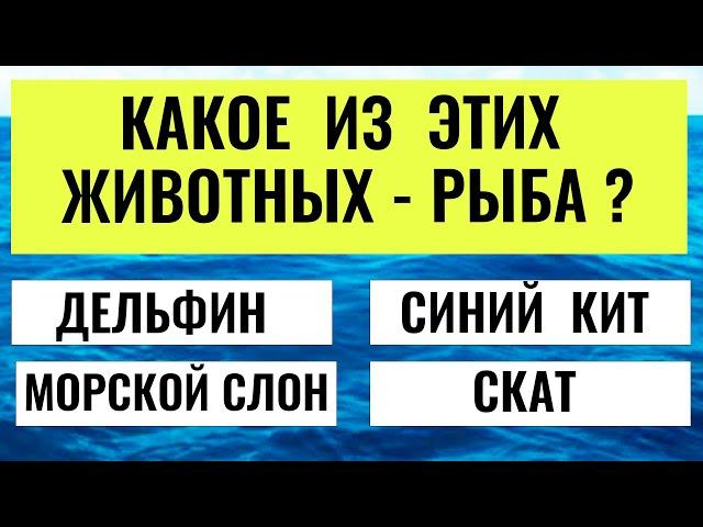 Насколько вы умны?  Интересный тест на эрудицию