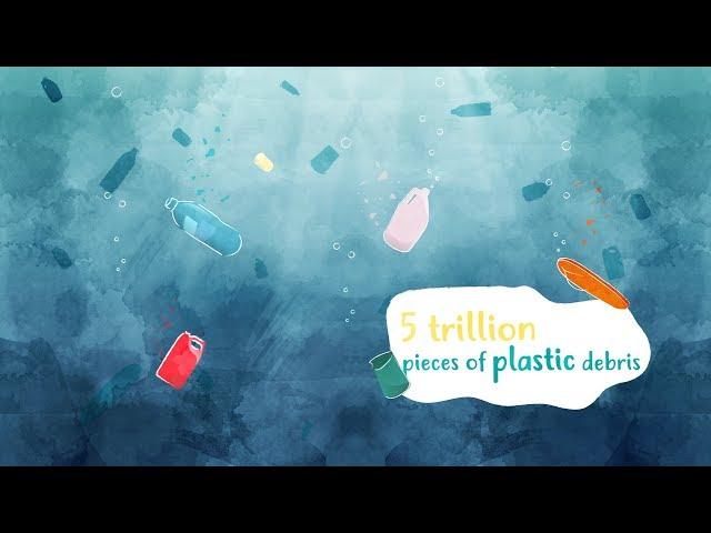 Marine litter explained by Ocean campus - Surfrider Foundation Europe