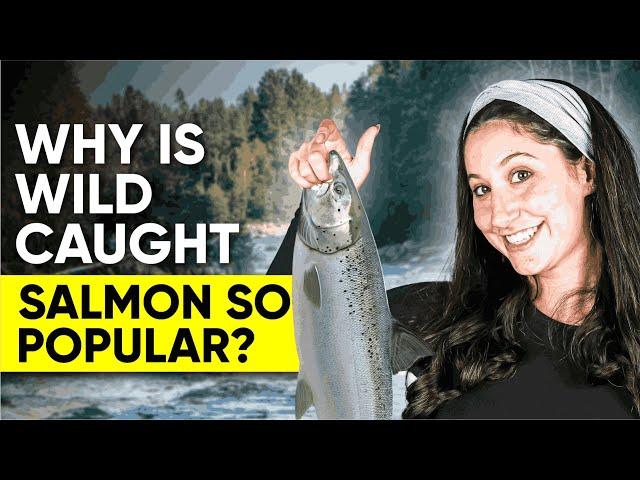 Wild Caught Salmon: Why is Wild Caught Salmon So Popular?