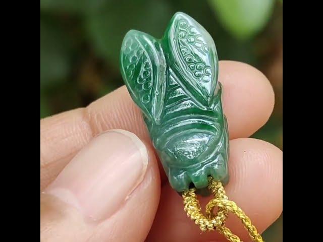 Green Cicada Pendant Natural Type A Jadeite Jade in #singapore