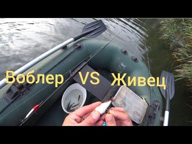 Щука осенью. На что ловить?? Живец или воблер.!?!?