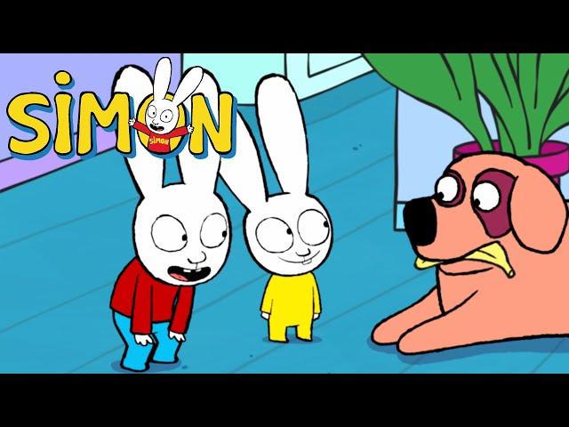 Milou has hurt his paw 🩺🩹 Simon | 2 hours compilation | Season 3 Full episodes | Cartoons for Kids
