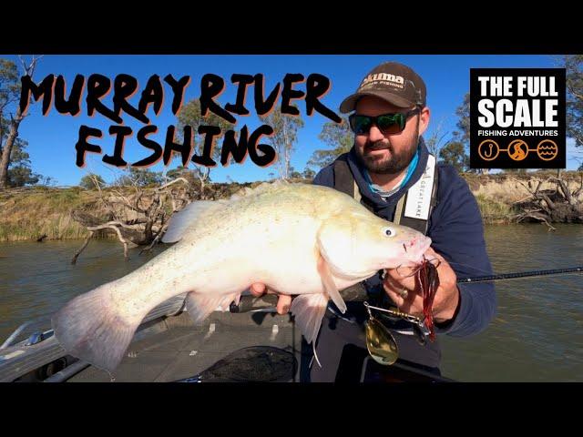 River Murray Fishing | Tactics To Catch Golden Perch | The Full Scale