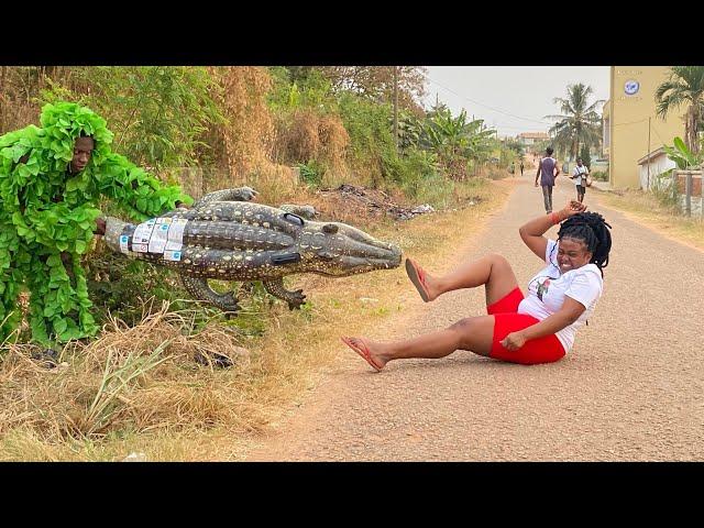 Ultimate Best of Best Bushman Prank in Africa! Compilation 2024!!