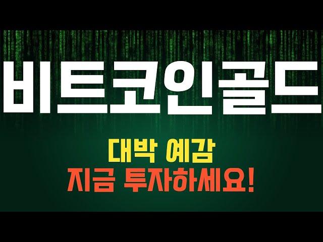 코인 [비트코인골드] 비트코인골드 코인전망! 목표가에 도달할 수 있는 투자 기회를 잡아라!