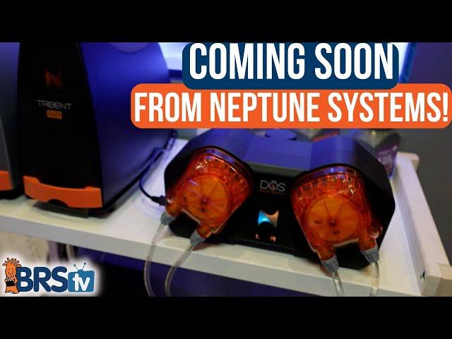 What’s New With Neptune Systems?!