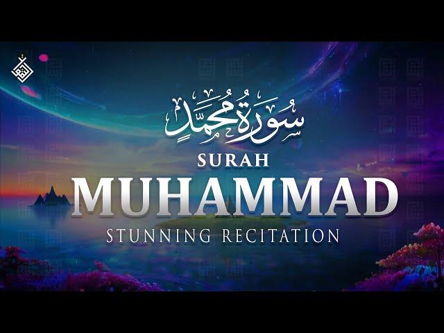 Surah Muhammad (سورة محمد) - Calm your heart with Wonderfull recitation | Al-Taqwa TV