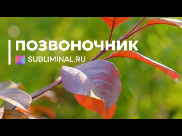 Spine Healing. NEW Subliminal. Hidden Affirmations.