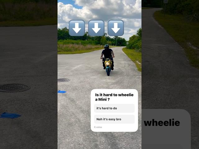 Wheelies on a z125  #shorts #shortfeed #z125 #wheelie #minimoto #bikelife #trending #hondagrom
