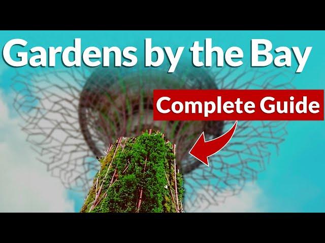 Singapore Gardens by the Bay - Travel Guide (should you visit?)