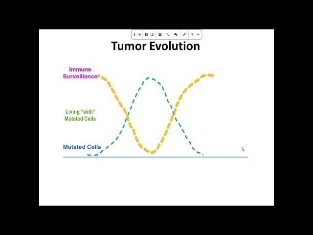 Webinar: Chandan Guha -  Focused Ultrasound Combination Approaches for Cancer Treatment