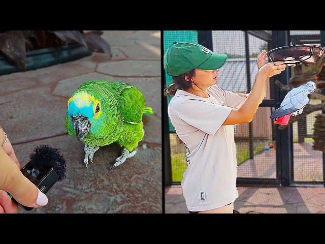 Maya CHILLING with the parrots at Alveus for 9 minutes and 41 seconds
