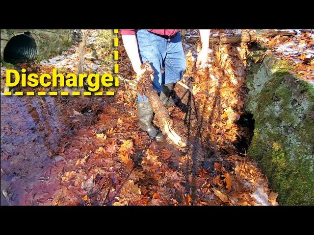 Clearing Culvert, Large Tree Roots Clog. Heavily Flowing Discharge