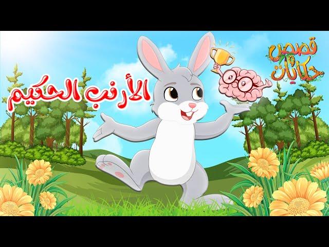 قصص وحكايات - قصص للأطفال - رسوم متحركة - قصص قبل النوم - قصة الأرنب الحكيم