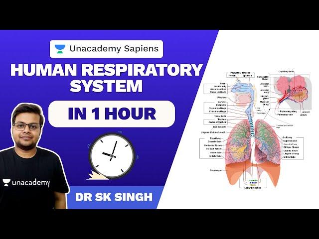 Complete Respiratory System in ONE Hour | Dr S K Singh | NEET - UG | Unacademy Sapiens