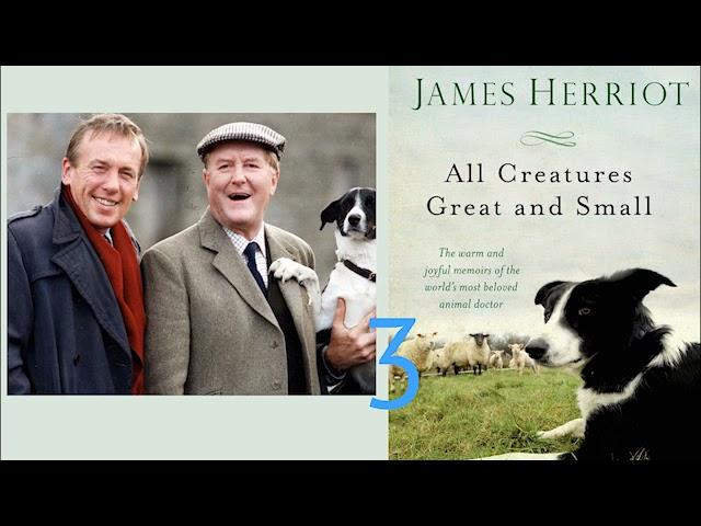 James Herriot   All Creatures Great And Small Audiobook 3