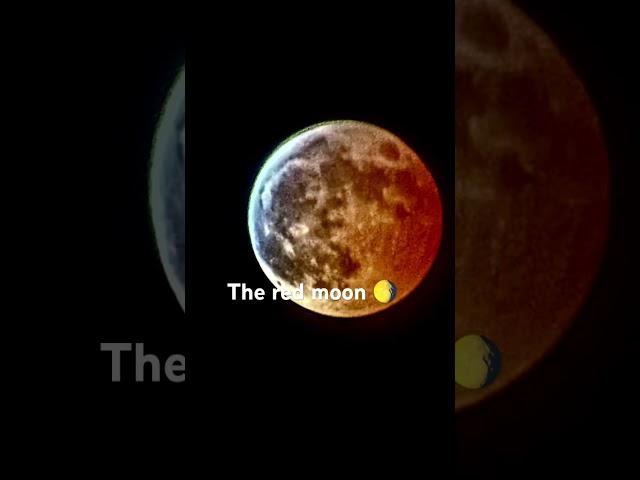 Fyp #RedMoon #Moon #NASA #Yvette #SpaceEvent #Rare #Space #OnceInALifetime