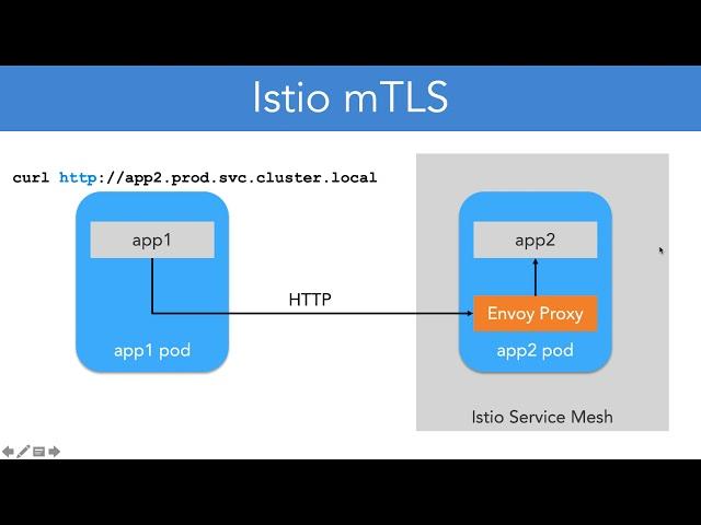 11 20 Istio mTLS