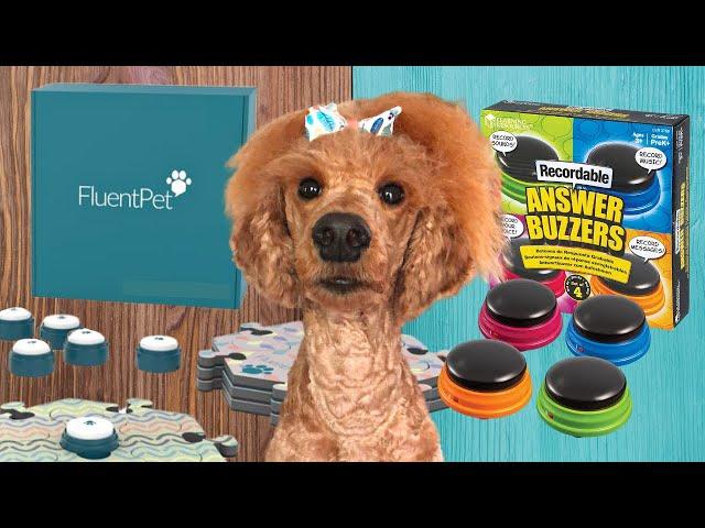 Fluent Pet Buttons VS Learning Resources | Review | Talking Pet Buttons | Dog buttons training