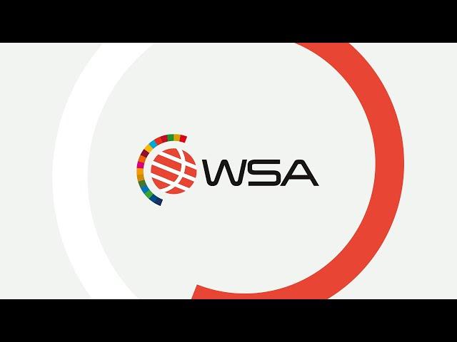 What is WSA?