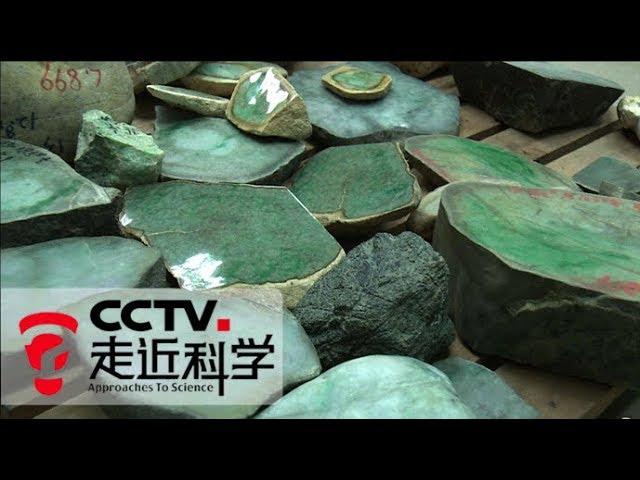 《走近科学》翡翠原石（上）如何挑选翡翠石料？ | CCTV走近科学官方频道