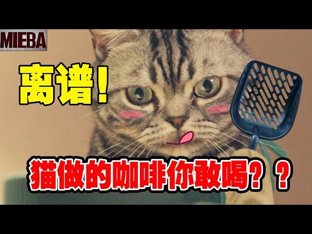 猫咪竟然会做咖啡？星喵克打工仔亲爪做的猫屎咖啡！