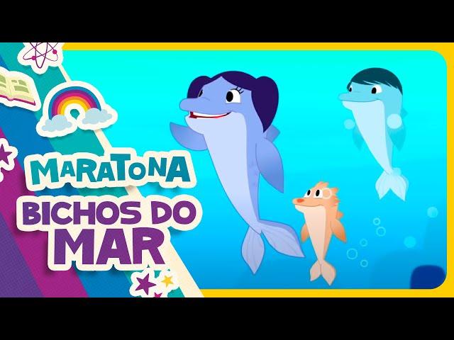 MARATONA BICHOS DO MAR  O Show da Luna!